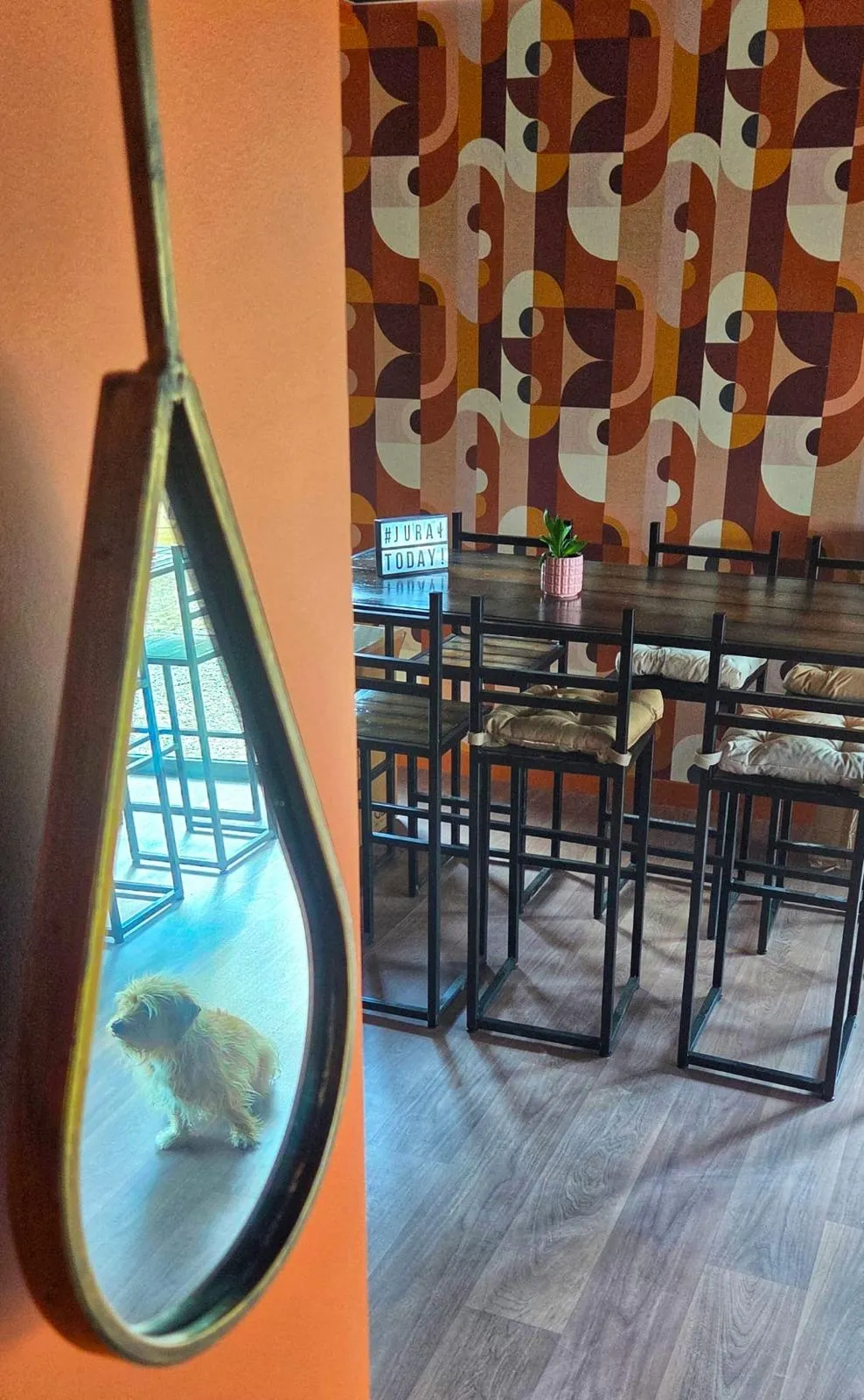 La salle du JuRa vue dans un miroir, avec ses grandes tables et son papier peint graphique